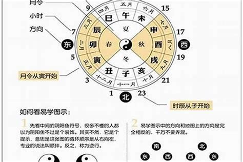 八字桃花查詢|【八字桃花查詢】八字桃花免費算｜掌握你的桃花運勢，助你桃花 